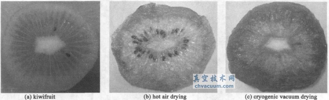 獼猴桃切片、熱風干燥、真空低溫干燥