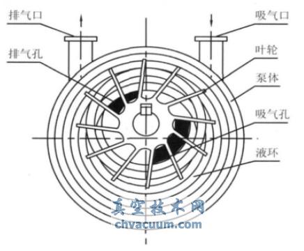 水環(huán)式真空泵泵體內(nèi)部結(jié)構(gòu)