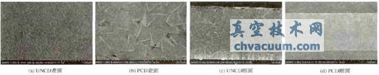 CD與PCD表面和斷面SEM 照片